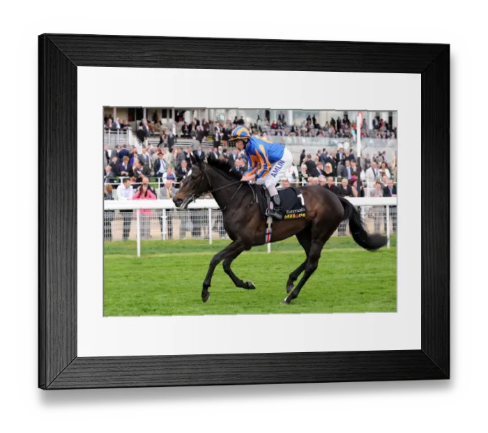 Framed Print : Amazing Beauty Ridden By Ryan Moore Framed Print : Amazing Beauty Ridden By Ryan Moore