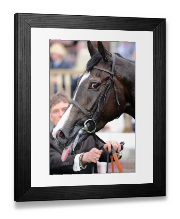 Framed Print : Joviality Racehorse Dante Festival, York Racecourse York Racecourse Framed Print : Joviality Racehorse Dante Festival, York Racecourse York Racecourse