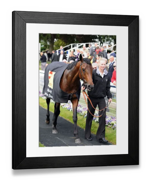 Framed Print : Carlton House Framed Print : Carlton House
