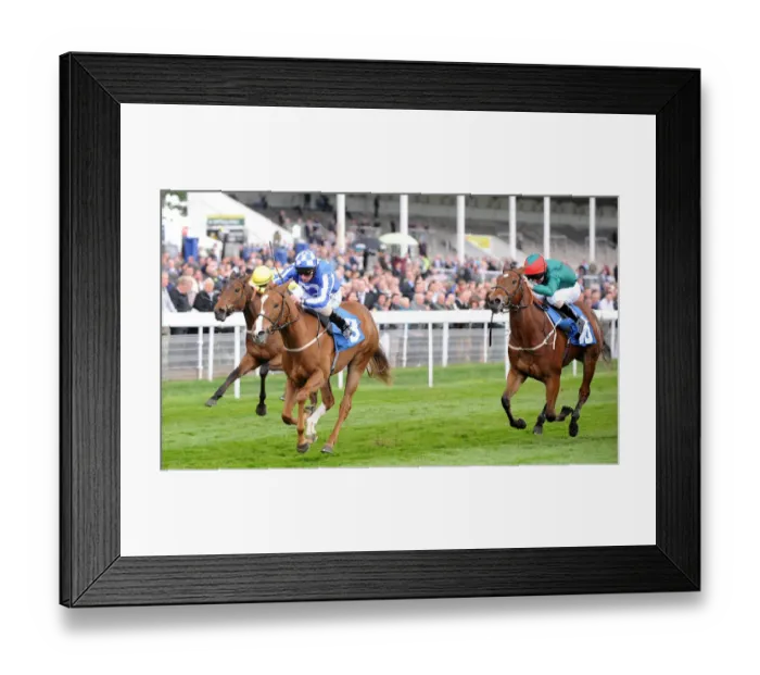 Framed Print : Miss Work Of Art Framed Print : Miss Work Of Art