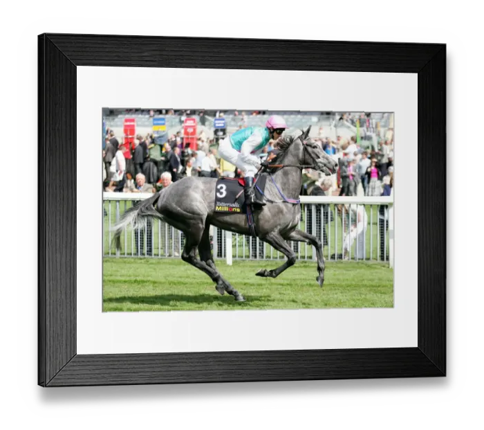 Framed Print : Cruel Sea Ridden By Michael Hills York May Festival 2008 York Racecorse Framed Print : Cruel Sea Ridden By Michael Hills York May Festival 2008 York Racecorse