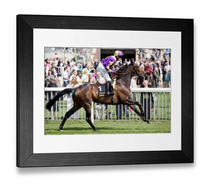 Framed Print : Cape Amber Framed Print : Cape Amber