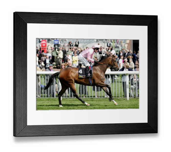 Framed Print : Dar Re Mi Ridden By Jimmy Fortune York May Festival 2008 York Racecorse Framed Print : Dar Re Mi Ridden By Jimmy Fortune York May Festival 2008 York Racecorse