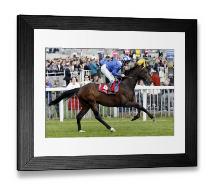 Framed Print : Munsef Ridden By R.Hills May Festival Meeting York 2007 The Knavesmire Framed Print : Munsef Ridden By R.Hills May Festival Meeting York 2007 The Knavesmire