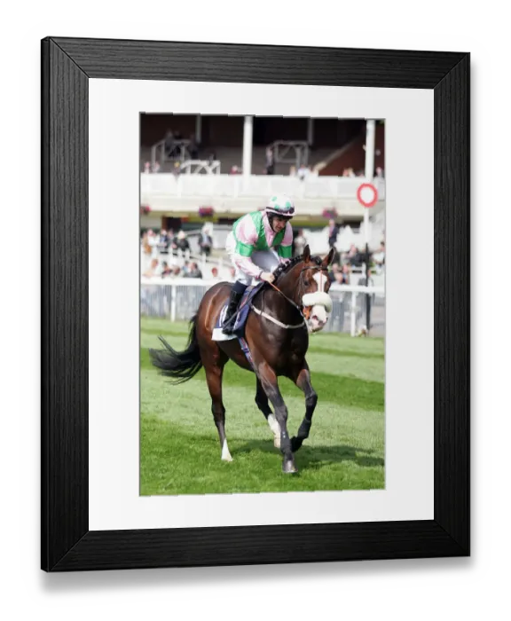 Framed Print : Wi Dud Ridden By N.Callan York May Festival 2008 York Racecorse Framed Print : Wi Dud Ridden By N.Callan York May Festival 2008 York Racecorse