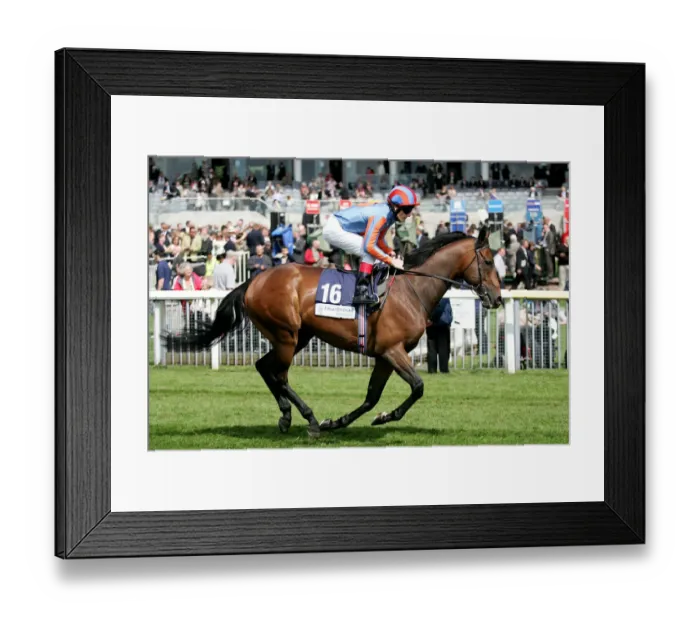 Framed Print : Us Ranger Ridden By J. Murtagh York May Festival 2008 York Racecorse Framed Print : Us Ranger Ridden By J. Murtagh York May Festival 2008 York Racecorse