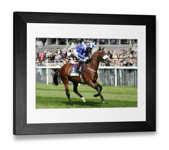 Framed Print : Haatef Ridden By D.P.Mcdonogh York May Festival 2008 York Racecorse Framed Print : Haatef Ridden By D.P.Mcdonogh York May Festival 2008 York Racecorse