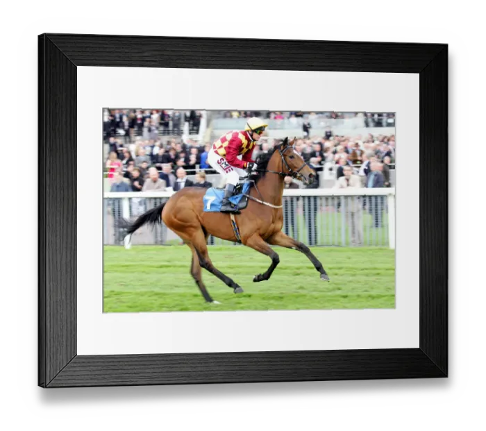 Framed Print : Knavesmire Framed Print : Knavesmire
