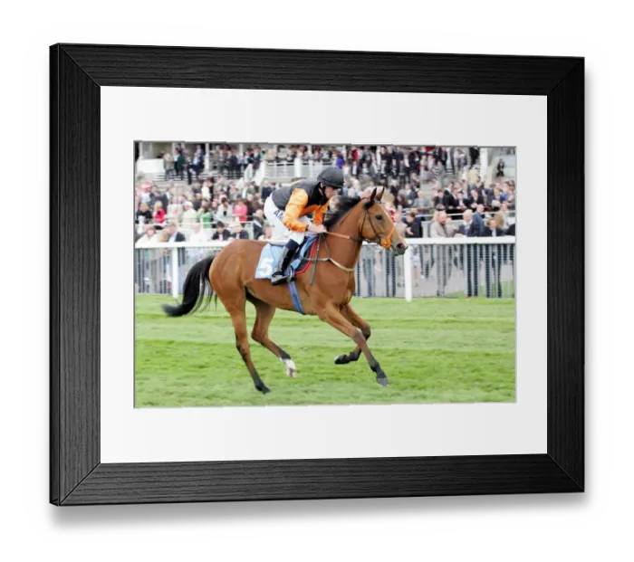 Framed Print : Doughnut Ridden By Ryan Moore York May Festival 2008 York Racecourse Framed Print : Doughnut Ridden By Ryan Moore York May Festival 2008 York Racecourse