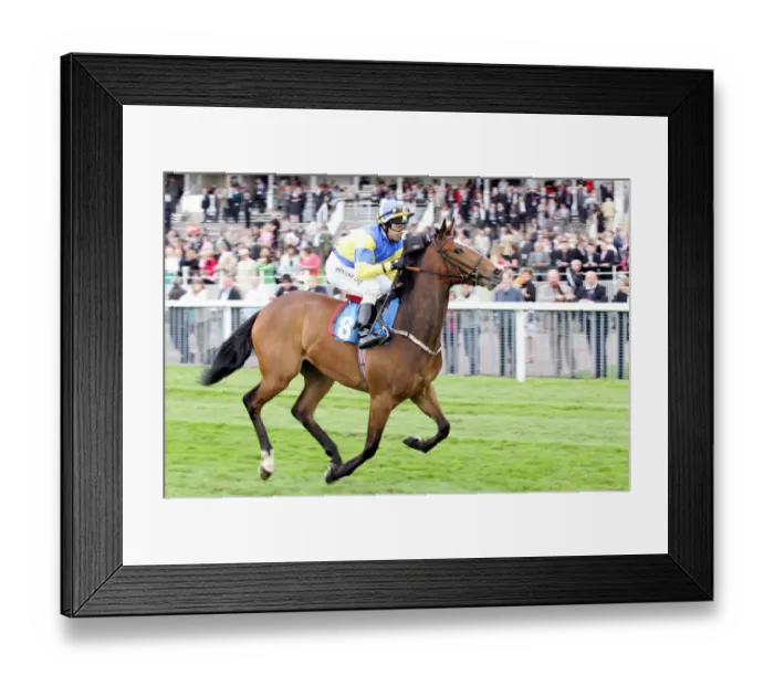 Framed Print : Langs Lash Framed Print : Langs Lash