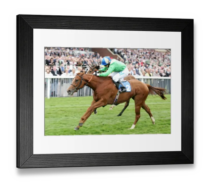 Framed Print : Bahamian Babe