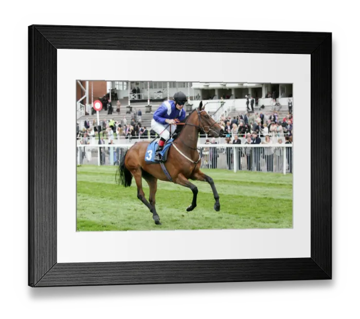 Framed Print : Insaaf Ridden By J Murtagh York May Festival 2008 York Racecourse