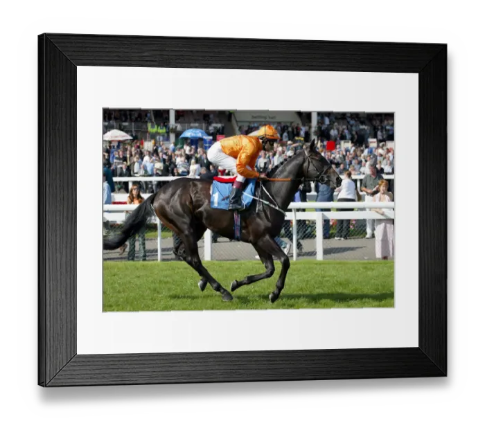 Framed Print : Lucky Story