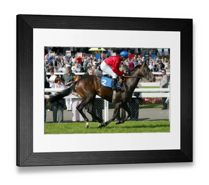 Framed Print : Auditorium Framed Print : Auditorium