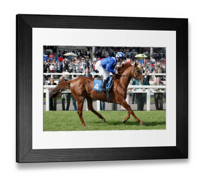 Framed Print : Haffid Ridden By R.Hills St Leger Festival Doncaster Racecourse Framed Print : Haffid Ridden By R.Hills St Leger Festival Doncaster Racecourse
