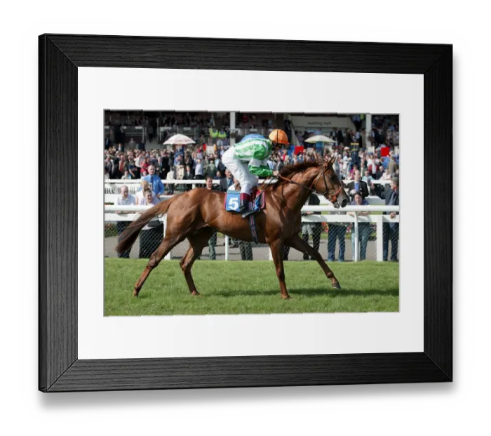 Framed Print : Leitrim House