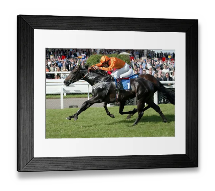 Framed Print : Lucky Storm Framed Print : Lucky Storm