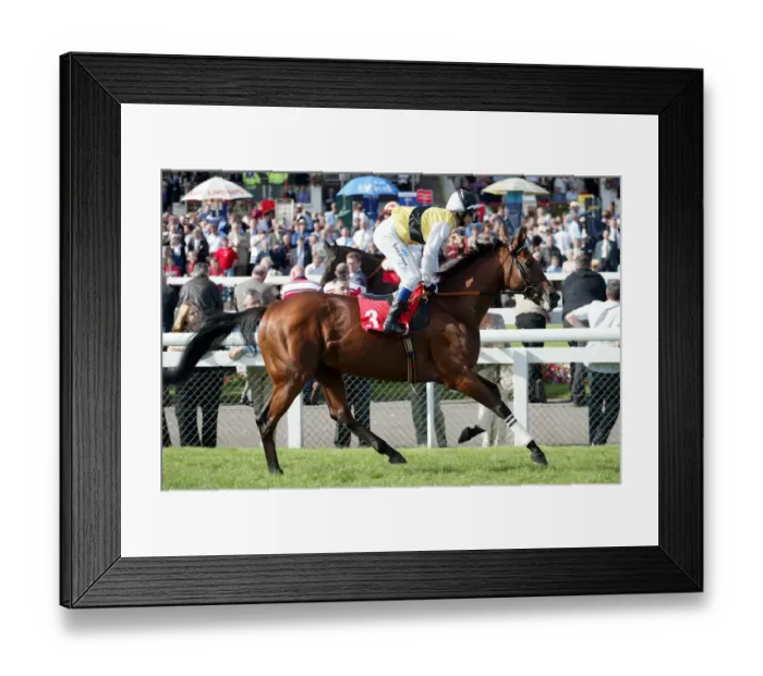 Framed Print : Putra Sandhurst Framed Print : Putra Sandhurst