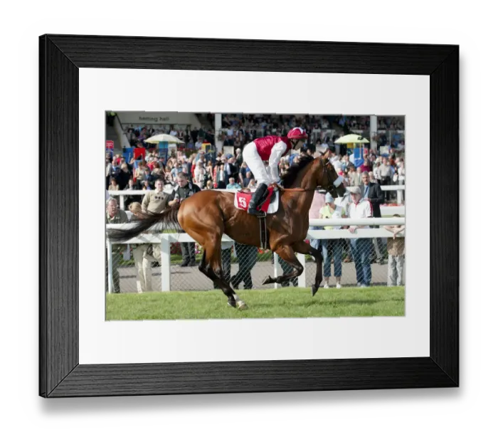 Framed Print : Wareed Ridden By J.P.Spencer St Leger Festival Doncaster Racecourse Framed Print : Wareed Ridden By J.P.Spencer St Leger Festival Doncaster Racecourse