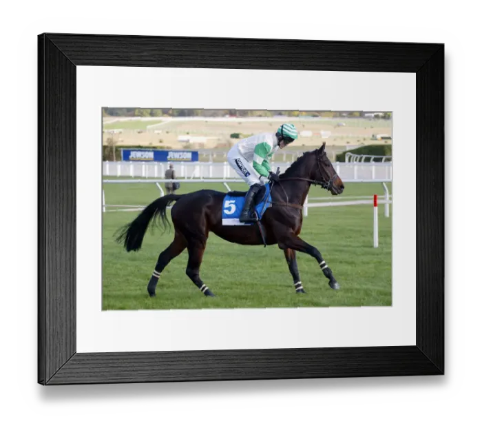Framed Print : Acamani Ridden By A.P.Mccoy Cheltenham Races Cheltenham Racecourse Framed Print : Acamani Ridden By A.P.Mccoy Cheltenham Races Cheltenham Racecourse