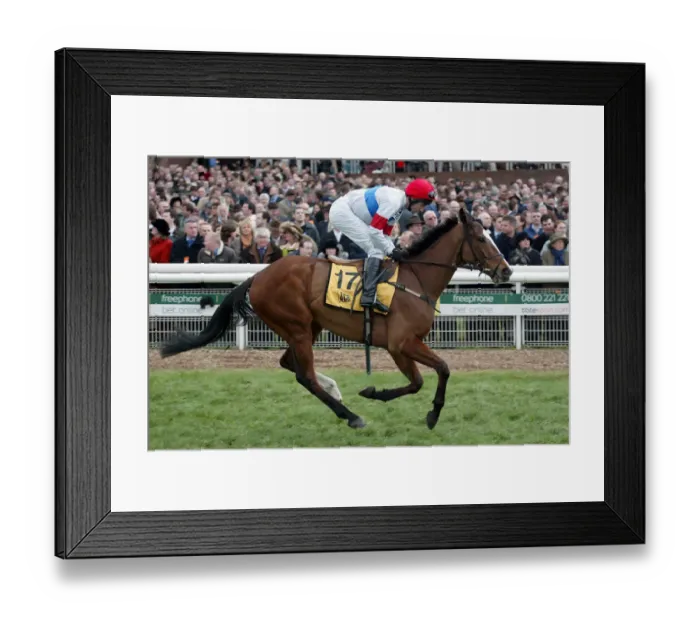 Framed Print : Tamarinbleu Framed Print : Tamarinbleu