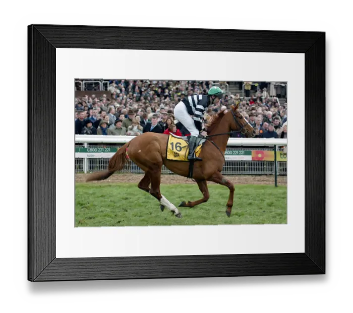 Framed Print : Seaforde Ridden By C.O.Dwyer Cheltenham Festival 2004 Cheltenham Racecourse Framed Print : Seaforde Ridden By C.O.Dwyer Cheltenham Festival 2004 Cheltenham Racecourse