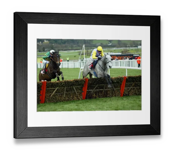 Framed Print : Iriss Gift Wins Stayers Hurdle Framed Print : Iriss Gift Wins Stayers Hurdle