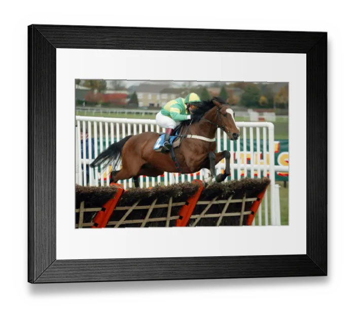 Framed Print : Ei Ei Ridden By L.Vickers Wetherby Steeplechase Wetherby Racecourse