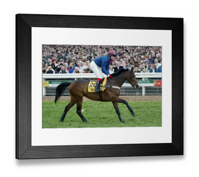 Framed Print : Trouble At Bay Framed Print : Trouble At Bay