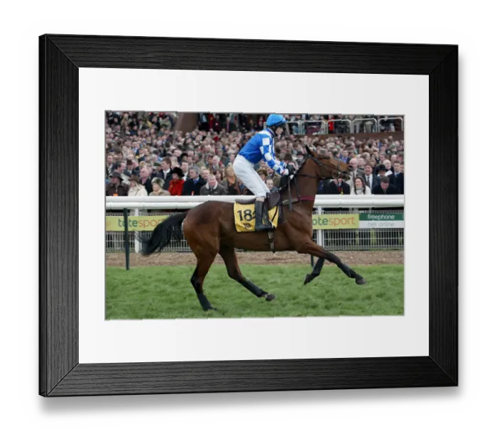 Framed Print : Tarque Ridden By S.Thomas Cheltenham Festival 2004 Cheltenham Racecourse Framed Print : Tarque Ridden By S.Thomas Cheltenham Festival 2004 Cheltenham Racecourse