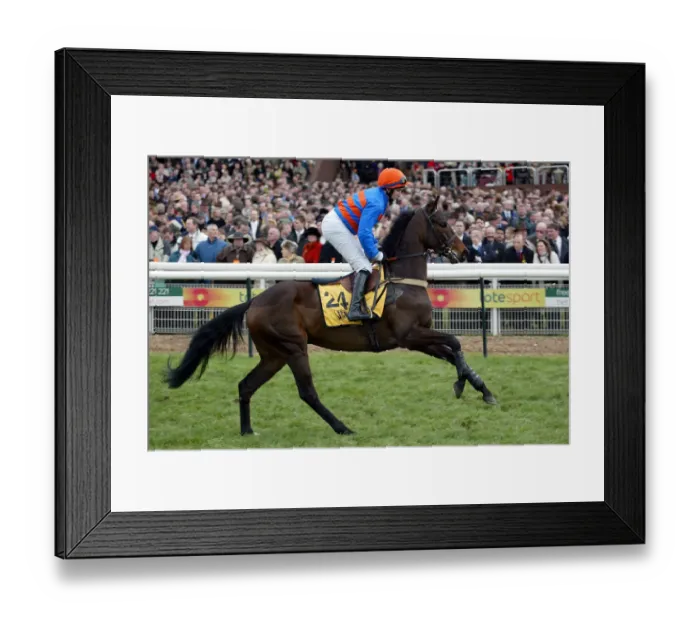 Framed Print : Zimbabwe Ridden By J.E.Moore Cheltenham Festival 2004 Cheltenham Racecourse Framed Print : Zimbabwe Ridden By J.E.Moore Cheltenham Festival 2004 Cheltenham Racecourse