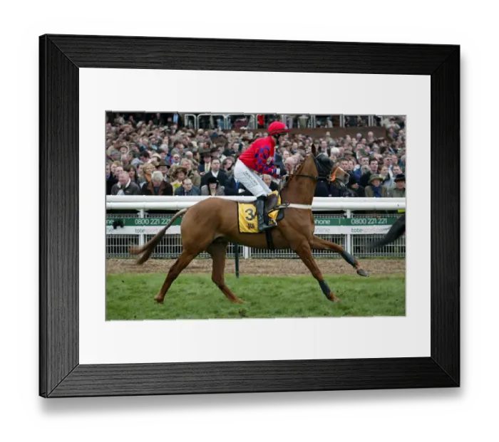 Framed Print : Analogy Ridden By N.Fehily Cheltenham Festival 2004 Cheltenham Racecourse
