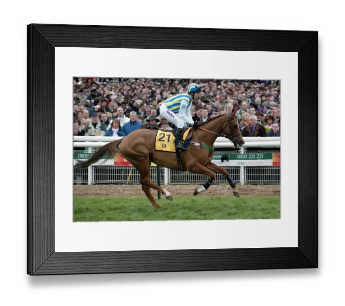 Framed Print : Tusk Ridden By J.Culloty Cheltenham Festival 2004 Cheltenham Racecourse Framed Print : Tusk Ridden By J.Culloty Cheltenham Festival 2004 Cheltenham Racecourse