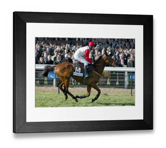 Framed Print : Le Duc Ridden By J.Tizzard Cheltenham Festival 2004 Cheltenham Racecourse Framed Print : Le Duc Ridden By J.Tizzard Cheltenham Festival 2004 Cheltenham Racecourse