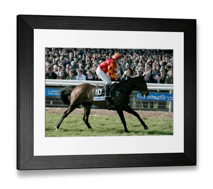 Framed Print : Palua Ridden By B.Fenton Cheltenham Festival 2004 Cheltenham Racecourse