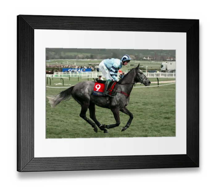 Framed Print : King Solomon Framed Print : King Solomon