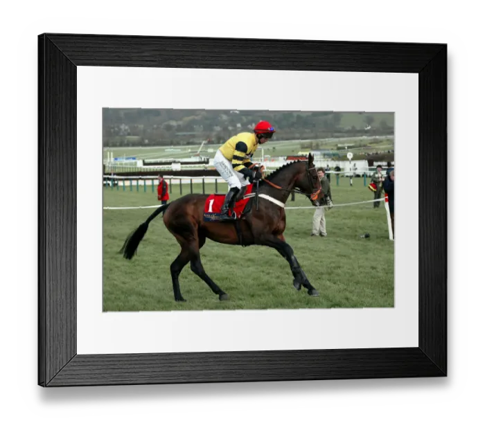 Framed Print : Ammonias Ridden By N.Fehily Cheltenham Festival 2004 Cheltenham Racecourse Framed Print : Ammonias Ridden By N.Fehily Cheltenham Festival 2004 Cheltenham Racecourse