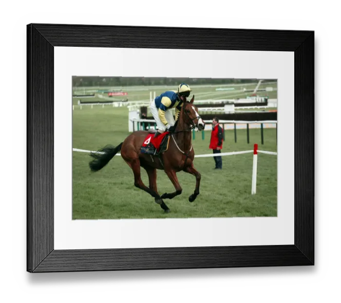 Framed Print : Champagne Harry Framed Print : Champagne Harry