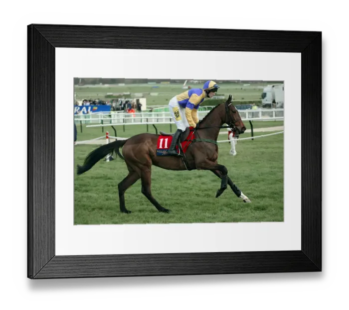 Framed Print : Sadlers Wings Framed Print : Sadlers Wings
