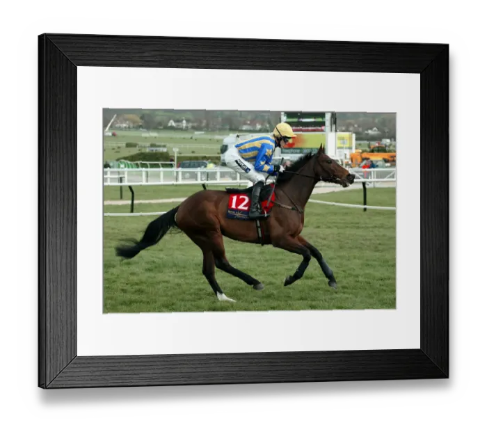 Framed Print : Sindapour Ridden By A.P.Mccoy Cheltenham Festival 2004 Cheltenham Racecourse Framed Print : Sindapour Ridden By A.P.Mccoy Cheltenham Festival 2004 Cheltenham Racecourse