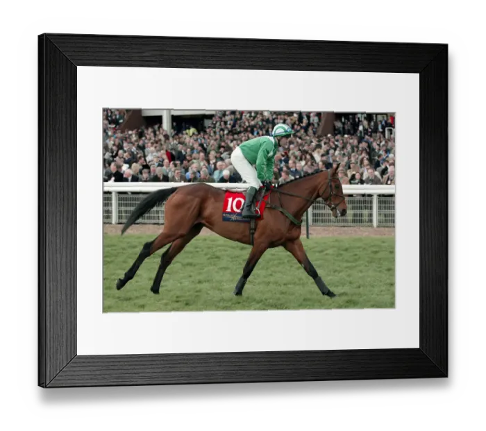 Framed Print : Rule Supreme Framed Print : Rule Supreme