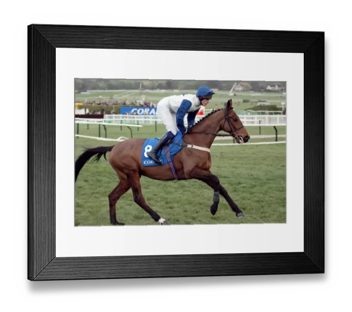 Framed Print : Galileo Ridden By J.M.Maguire Cheltenham Festival 2004 Cheltenham Racecourse Framed Print : Galileo Ridden By J.M.Maguire Cheltenham Festival 2004 Cheltenham Racecourse