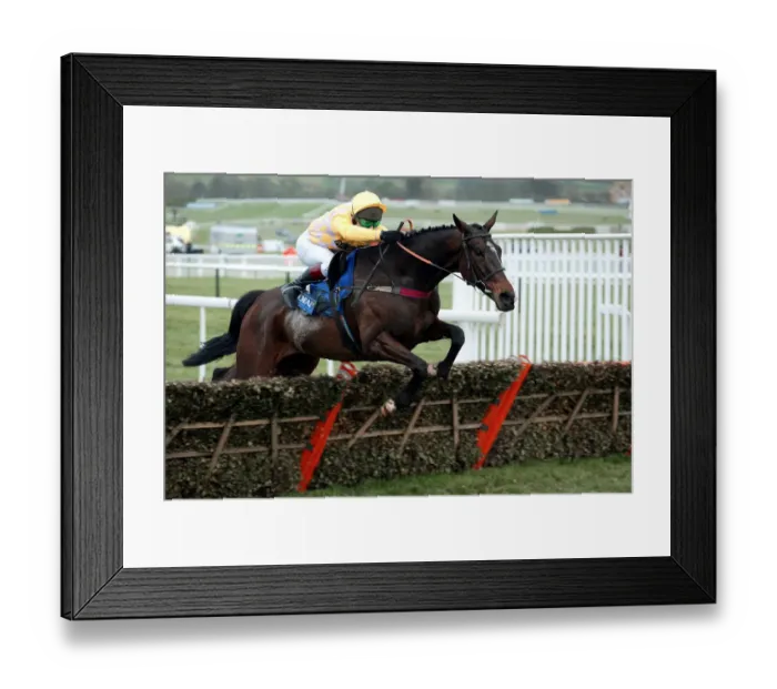 Framed Print : Monkerhostin Framed Print : Monkerhostin