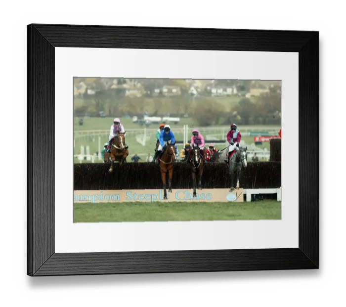 Framed Print : Calling Brave, Mossy Green, Historic & Royal Emperor Cal Framed Print : Calling Brave, Mossy Green, Historic & Royal Emperor Cal