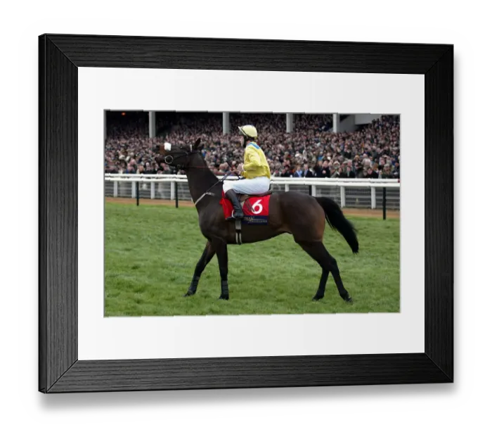 Framed Print : Direct Bearing Framed Print : Direct Bearing
