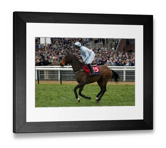 Framed Print : Mardani Ridden By T.Siddall Cheltenham Festival 2002 Cheltenham Racecourse Framed Print : Mardani Ridden By T.Siddall Cheltenham Festival 2002 Cheltenham Racecourse