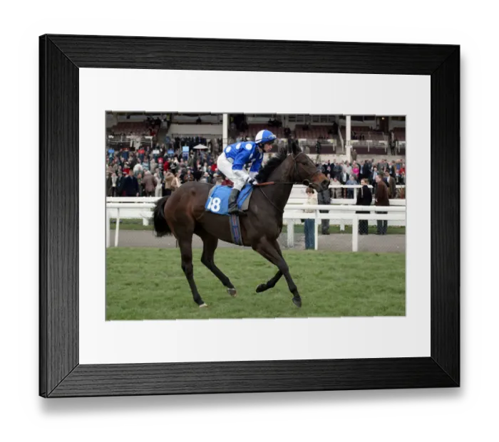 Framed Print : Piccled Ridden By D.Allan Doncaster Lincoln Meeting Doncaster Framed Print : Piccled Ridden By D.Allan Doncaster Lincoln Meeting Doncaster