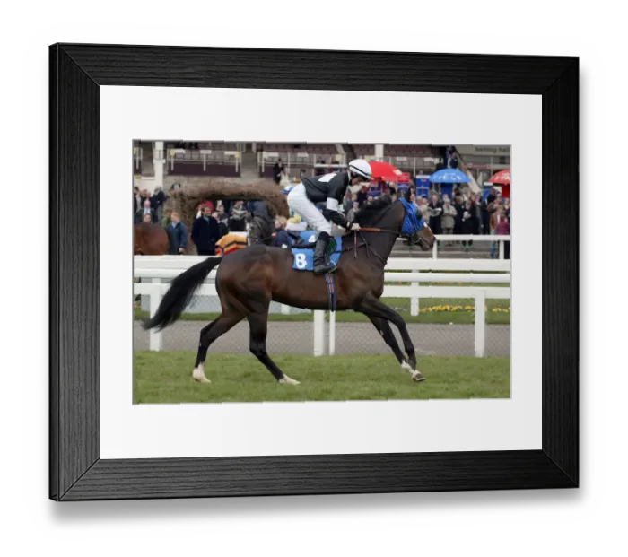 Framed Print : Willhewiz Ridden By T.P Queally Doncaster Lincoln Meeting Doncaster Framed Print : Willhewiz Ridden By T.P Queally Doncaster Lincoln Meeting Doncaster