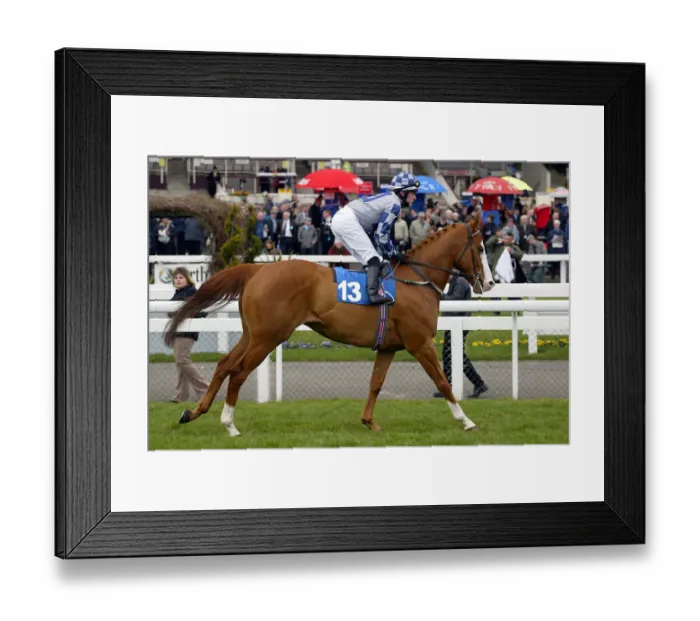 Framed Print : Rectangle Ridden By A.Nicholls Doncaster Lincoln Meeting Doncaster Framed Print : Rectangle Ridden By A.Nicholls Doncaster Lincoln Meeting Doncaster