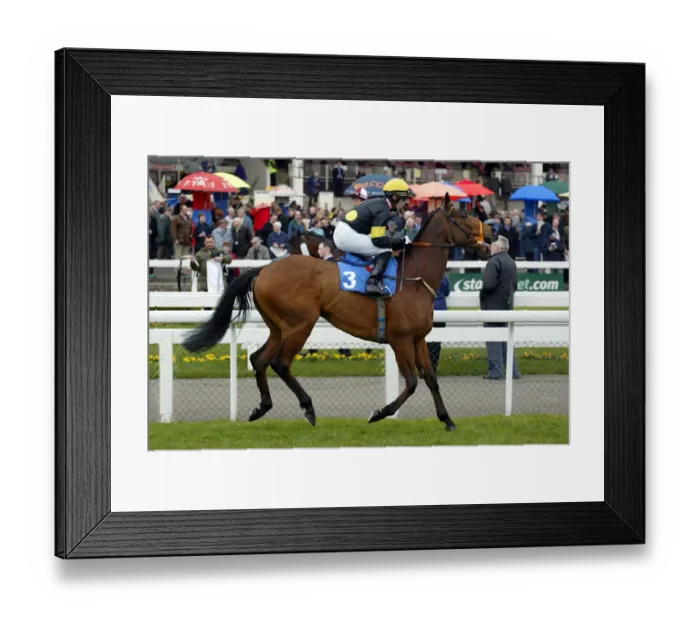 Framed Print : Bond Boy Ridden By F.Lynch Doncaster Lincoln Meeting Doncaster Framed Print : Bond Boy Ridden By F.Lynch Doncaster Lincoln Meeting Doncaster